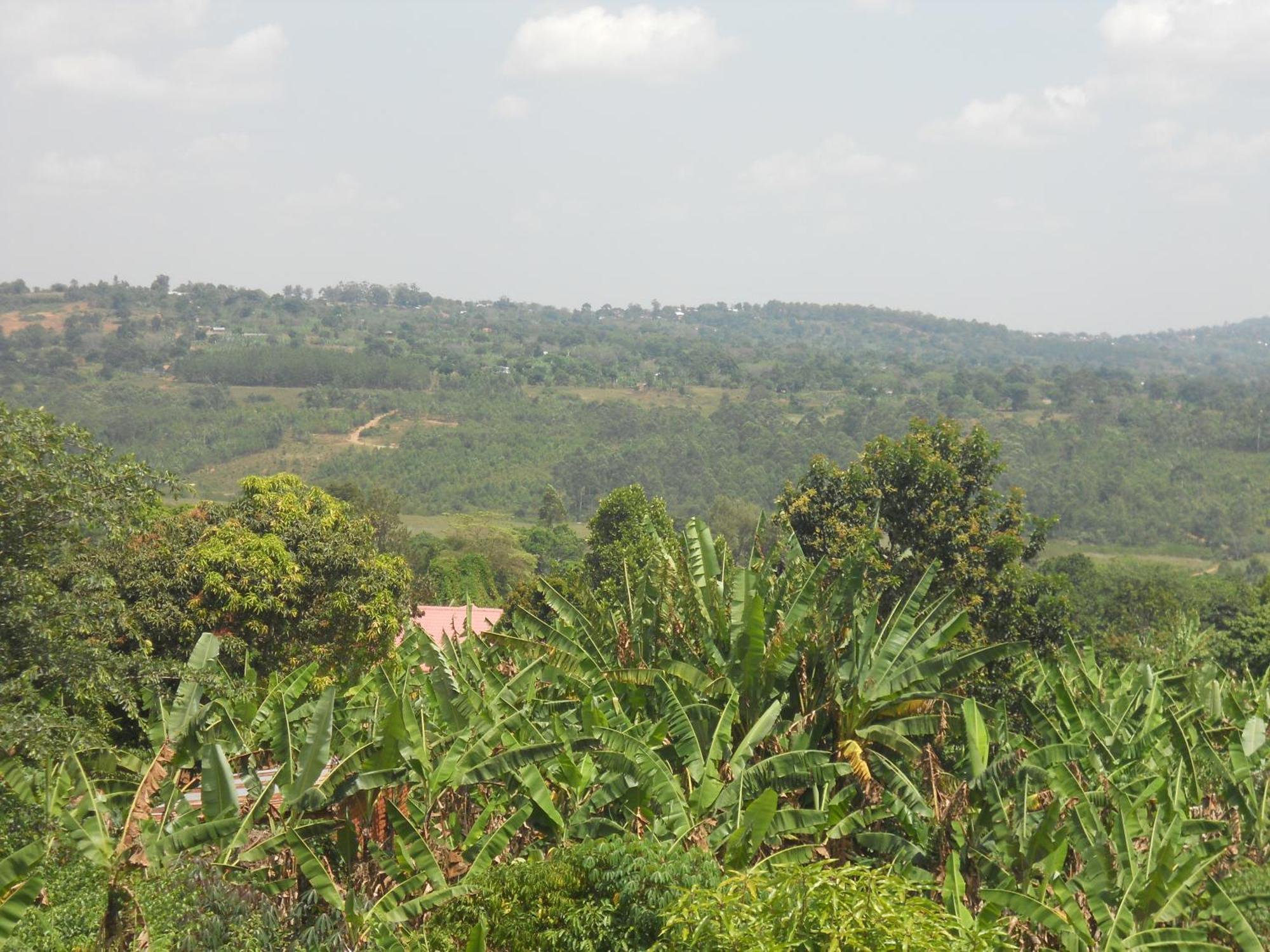 Masaka Backpackers, Tourists Cottage & Campsite Экстерьер фото