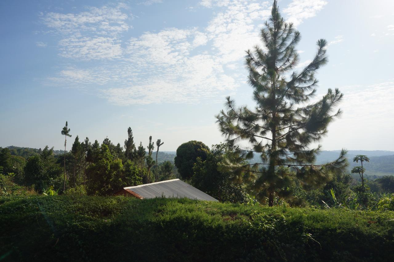 Masaka Backpackers, Tourists Cottage & Campsite Экстерьер фото